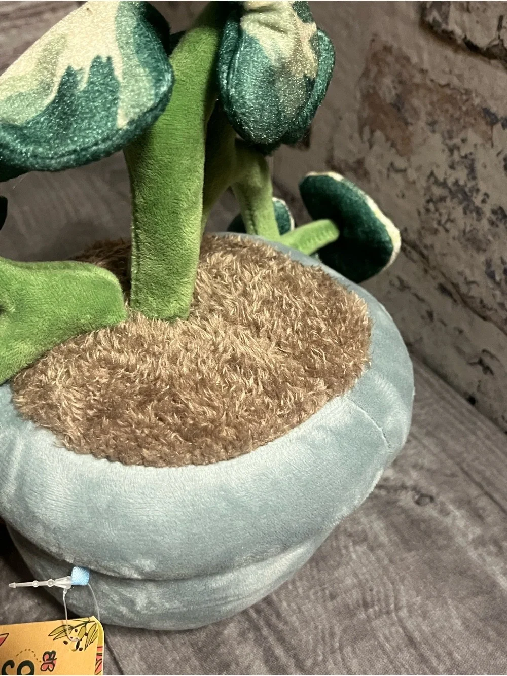 New! greenhouse by RUSS pothos planter “Chloe”
